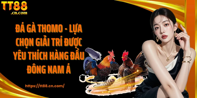 Đá gà thomo - Lựa chọn giải trí được yêu thích hàng đầu Đông Nam Á