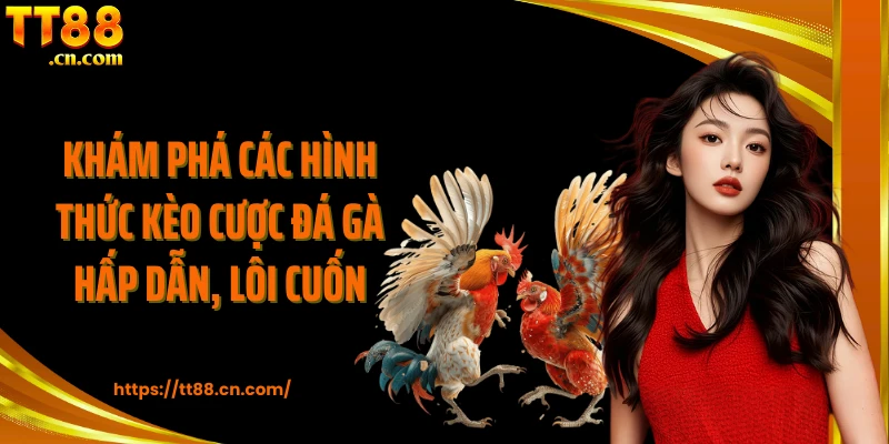 Khám phá các hình thức kèo cược đá gà hấp dẫn, lôi cuốn