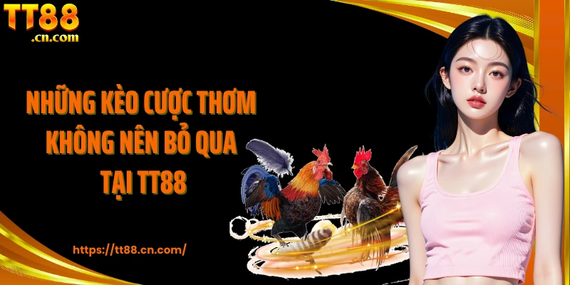 Những kèo cược thơm không nên bỏ qua tại TT88