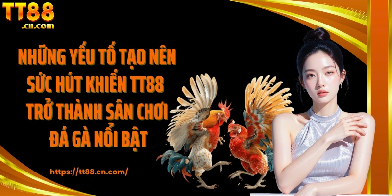 Những yếu tố tạo nên sức hút khiến TT88 trở thành sân chơi đá gà nổi bật